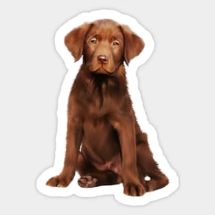 Brown labrador Retriever Dog Puppy, Lab Dog Lover Sticker